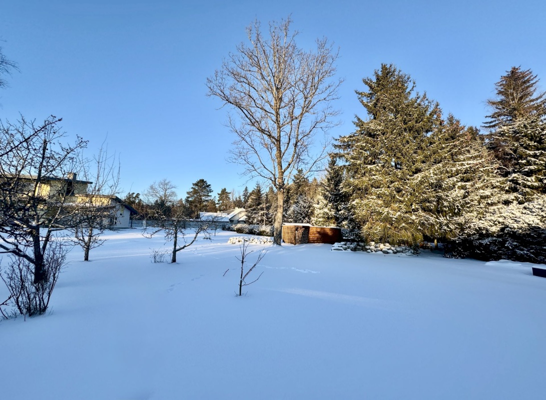 Viimsi vald, Tammneeme küla, Tammneeme tee 17