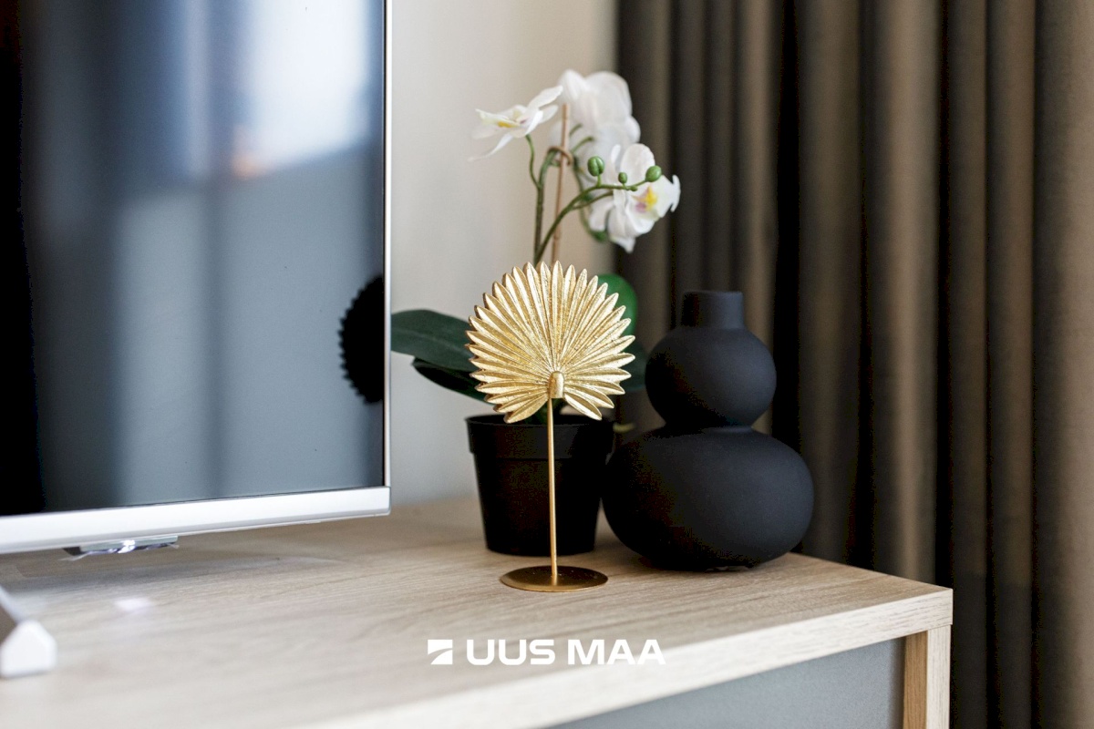 Saue vald, Alliku küla, Pilliroo 28b