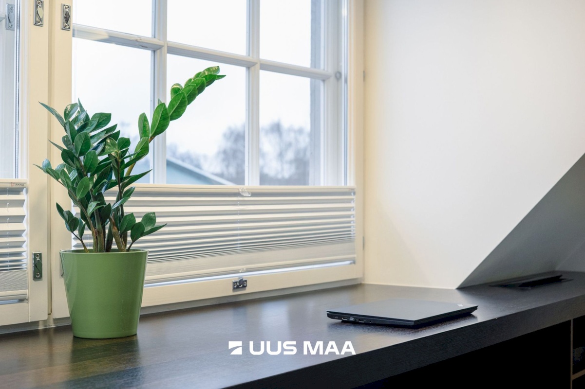 Rakvere linn, Pikk 7/3