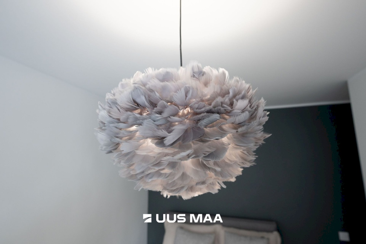 Tallinn, Lasnamäe linnaosa, Sikupilli, Pallasti 10