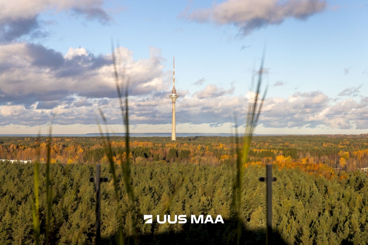 Tallinn, Lasnamäe linnaosa, Viieaia tee 28