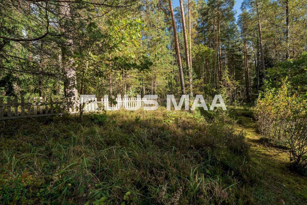 Võru linn, Männiku 53