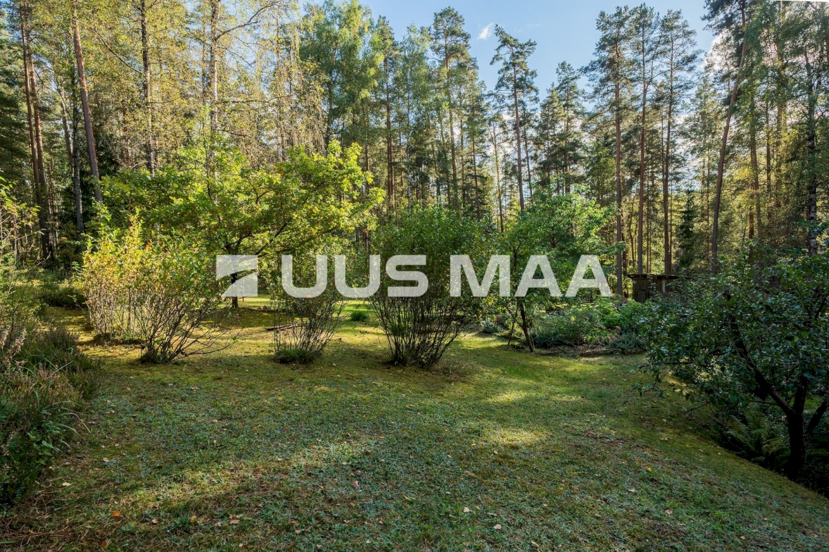 Võru linn, Männiku 53