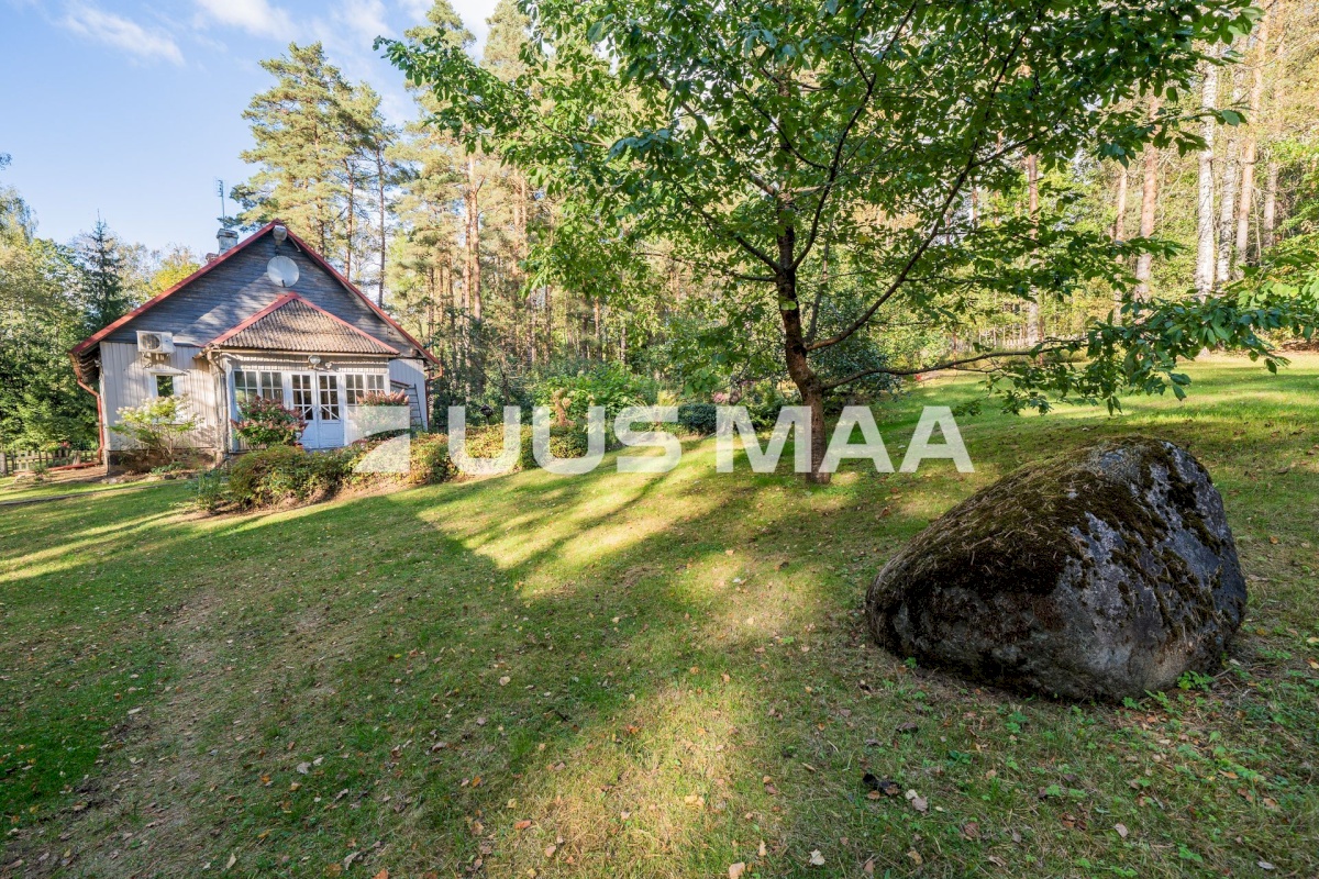 Võru linn, Männiku 53