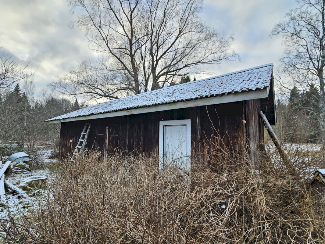 Haljala vald, Lauli küla, Marja