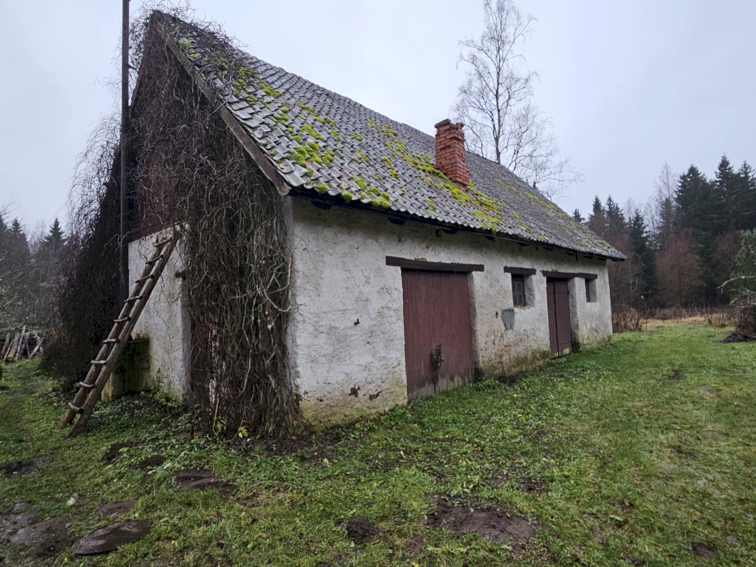 Haljala vald, Lauli küla, Marja