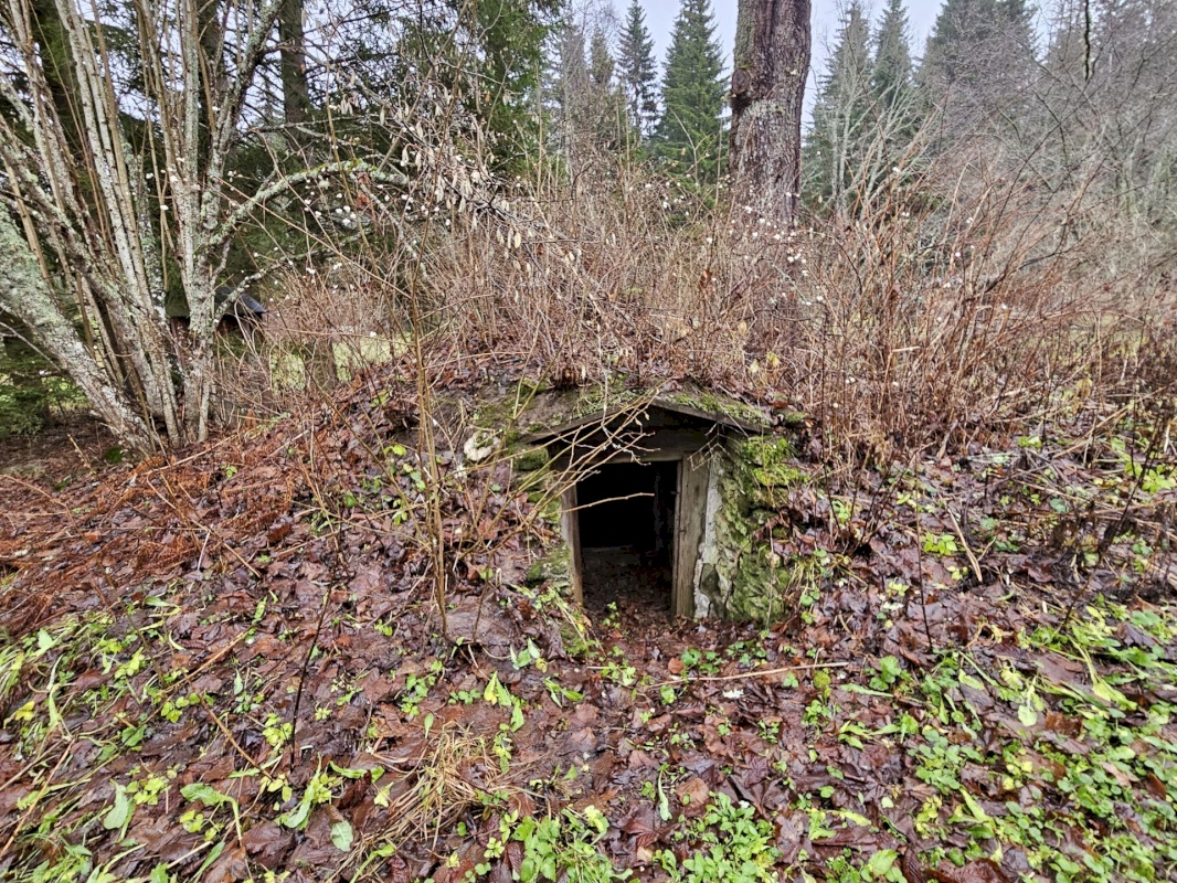 Haljala vald, Lauli küla, Marja