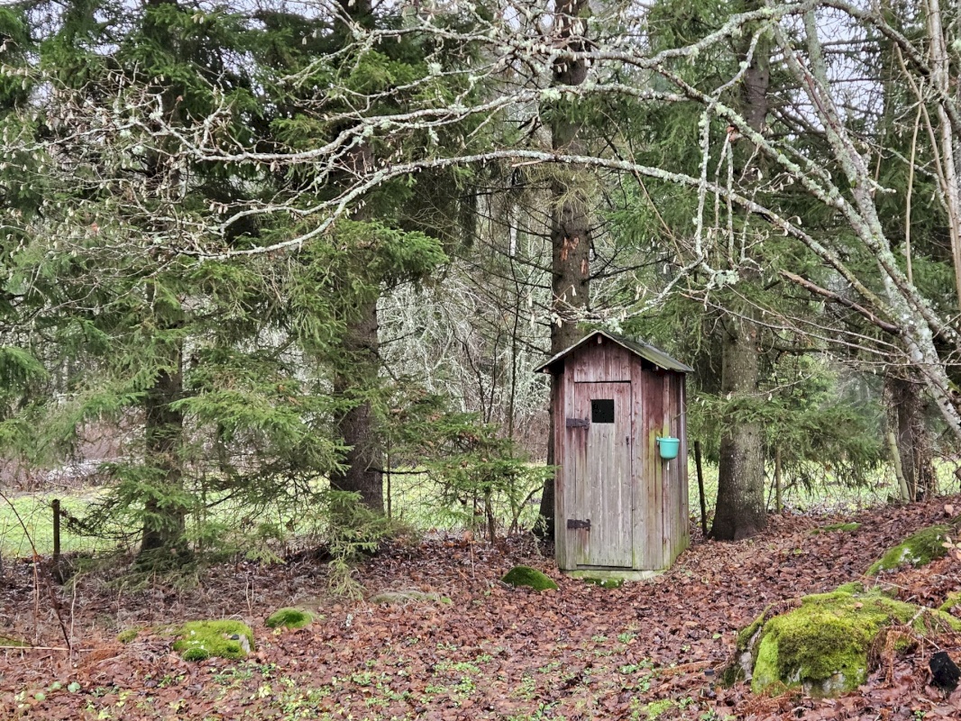 Haljala vald, Lauli küla, Marja