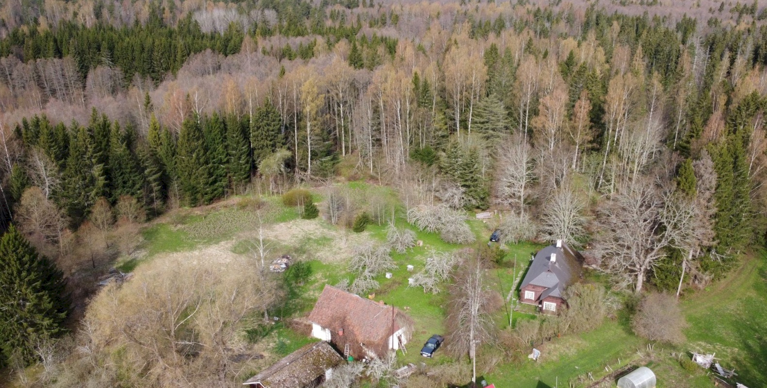 Haljala vald, Lauli küla, Marja