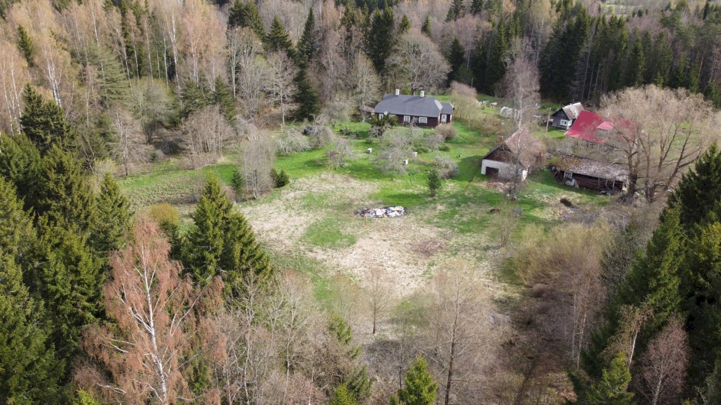 Haljala vald, Lauli küla, Marja