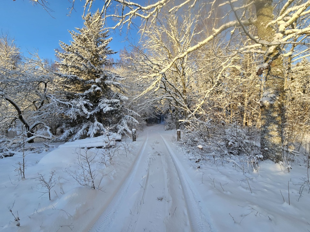 Haljala vald, Lauli küla, Marja