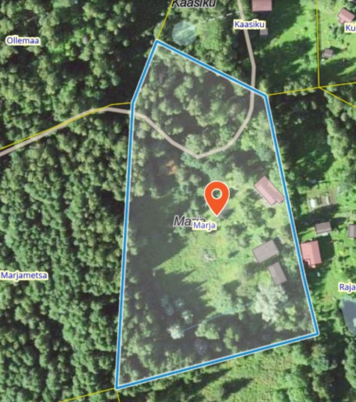 Haljala vald, Lauli küla, Marja