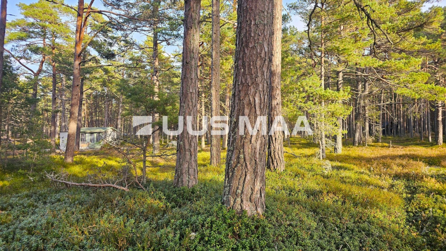 Lääne-Nigula vald, Rooslepa küla/Roslep