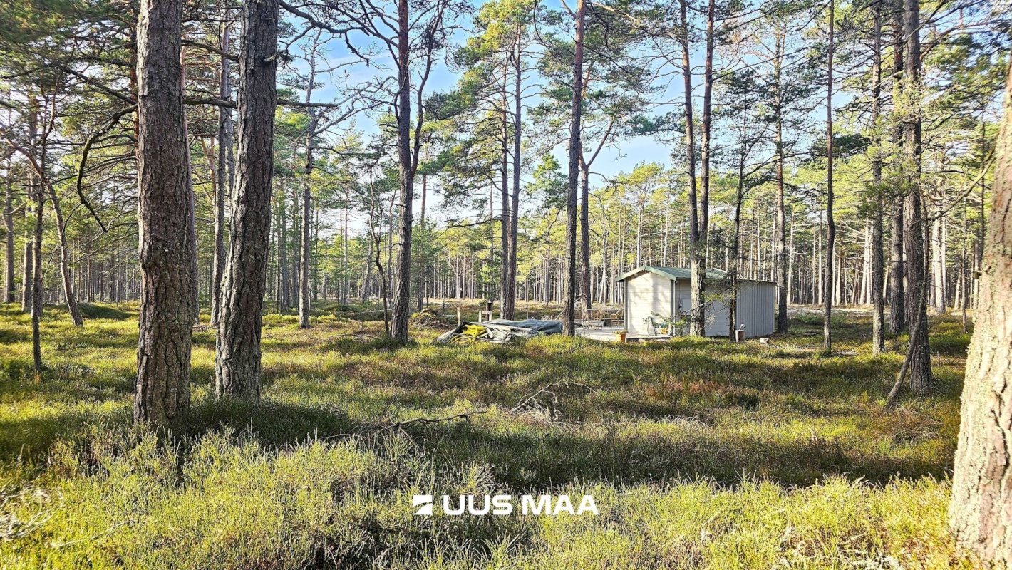 Lääne-Nigula vald, Rooslepa küla/Roslep
