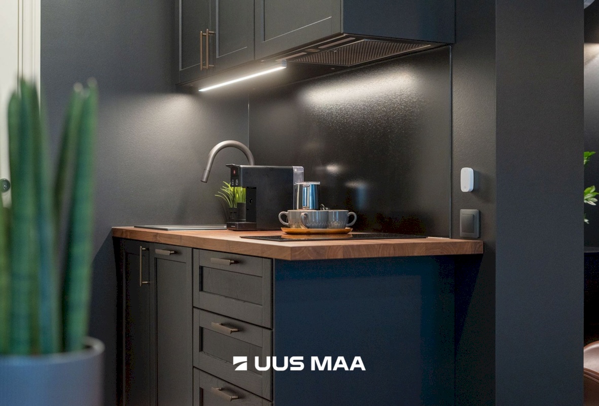 Haapsalu linn, Haapsalu linn, Uus tn 21