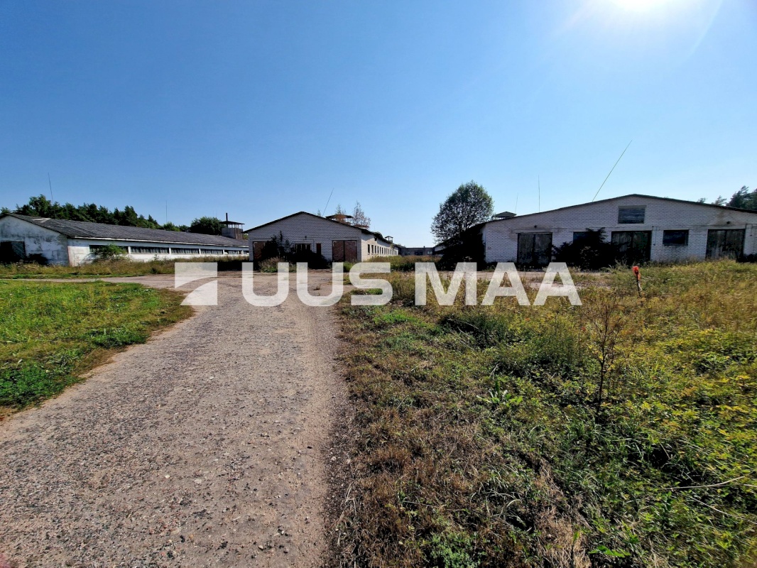 Lääneranna vald, Nurme küla, Sigala