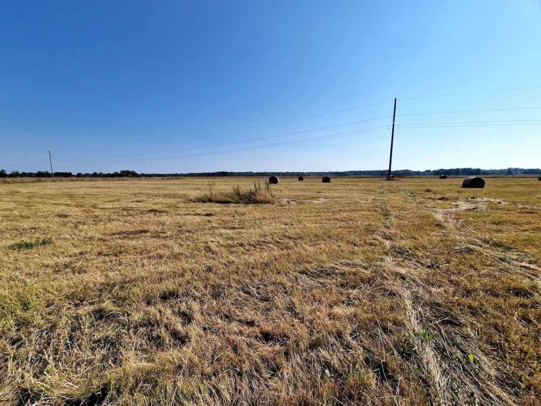 Lääneranna vald, Nurme küla, Sigala