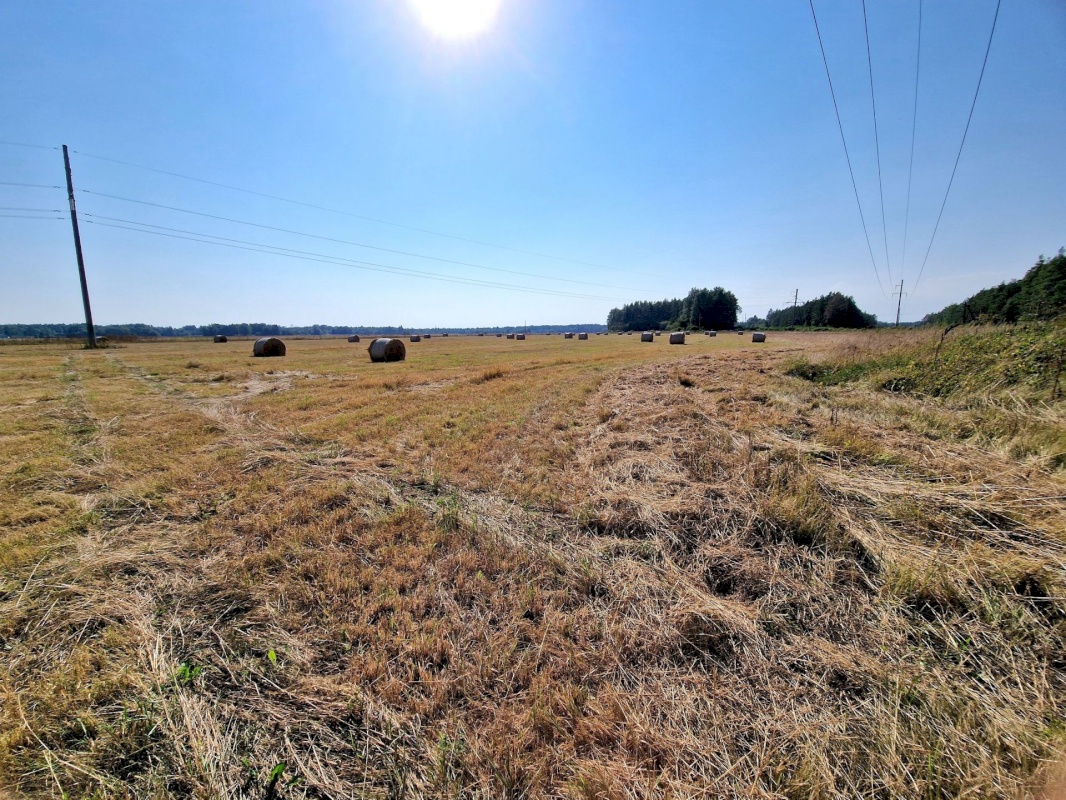 Lääneranna vald, Nurme küla, Sigala