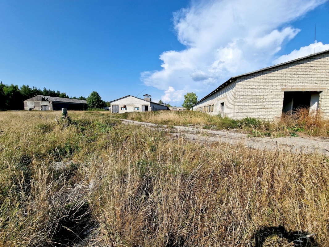 Lääneranna vald, Nurme küla, Sigala