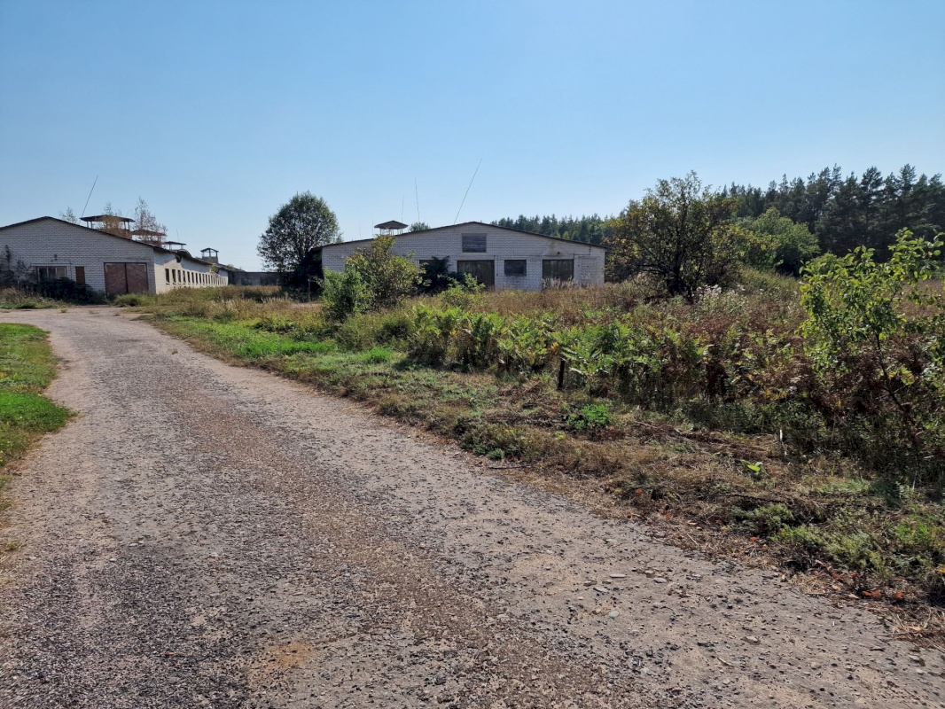 Lääneranna vald, Nurme küla, Sigala