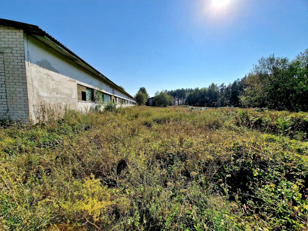 Lääneranna vald, Nurme küla, Sigala