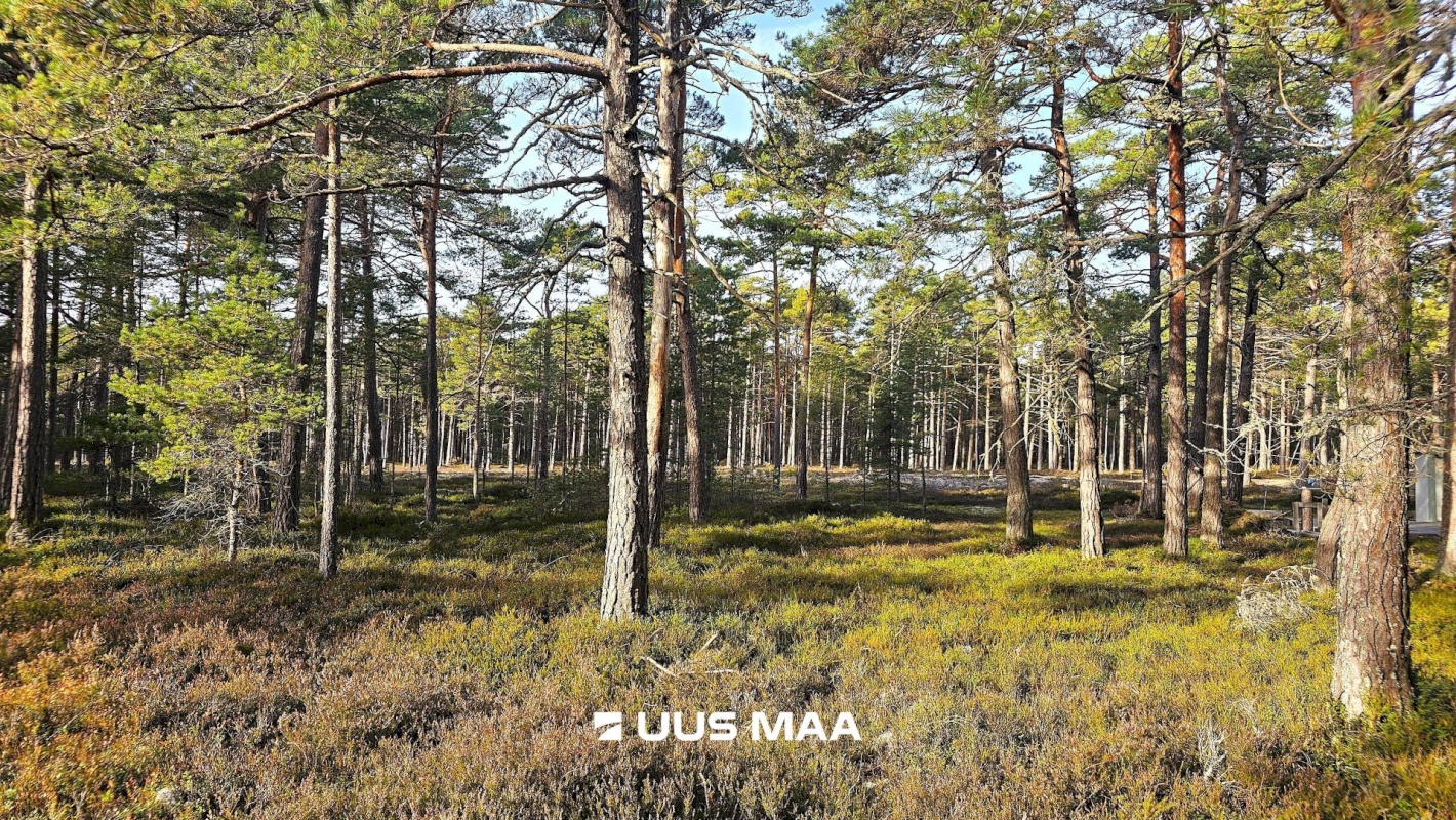 Lääne-Nigula vald, Rooslepa küla/Roslep