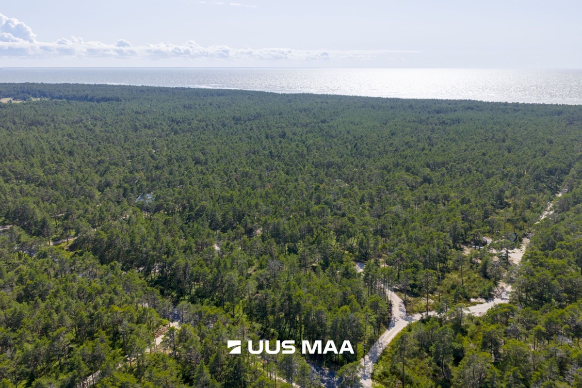Lääne-Nigula vald, Rooslepa küla/Roslep
