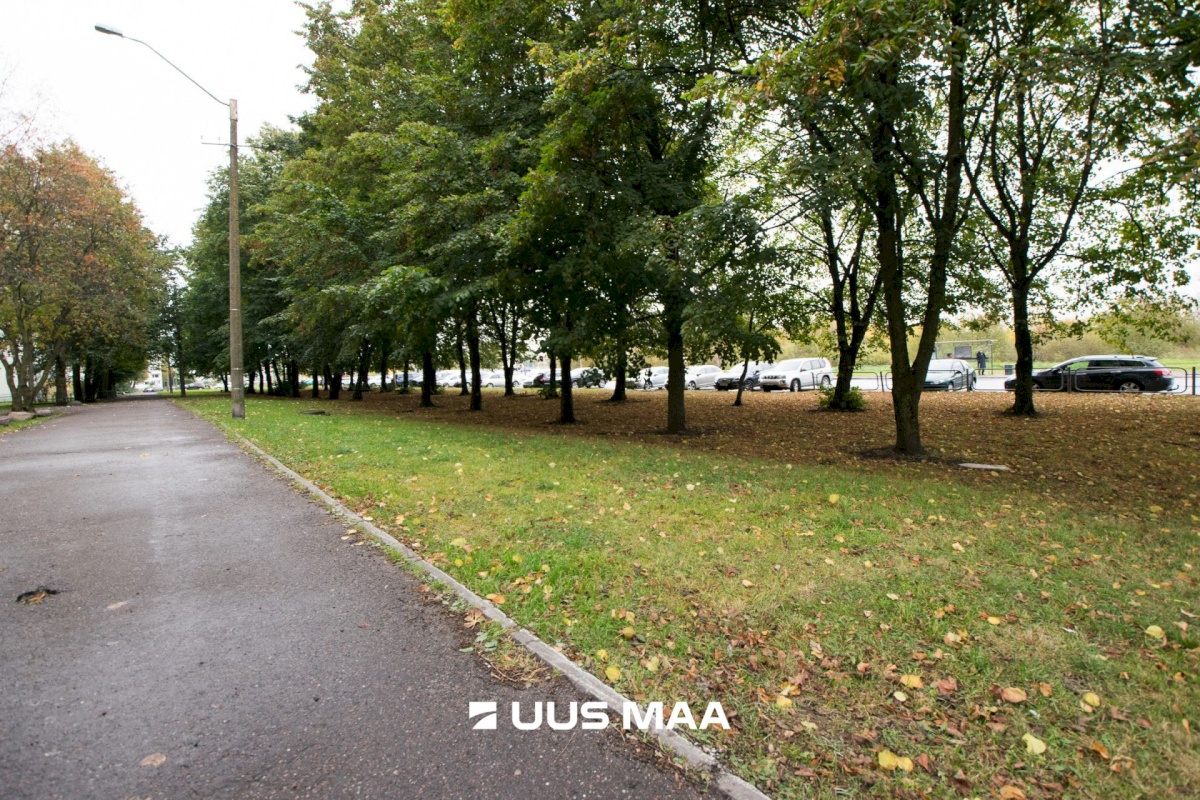 Tallinn, Lasnamäe linnaosa, Anni 8