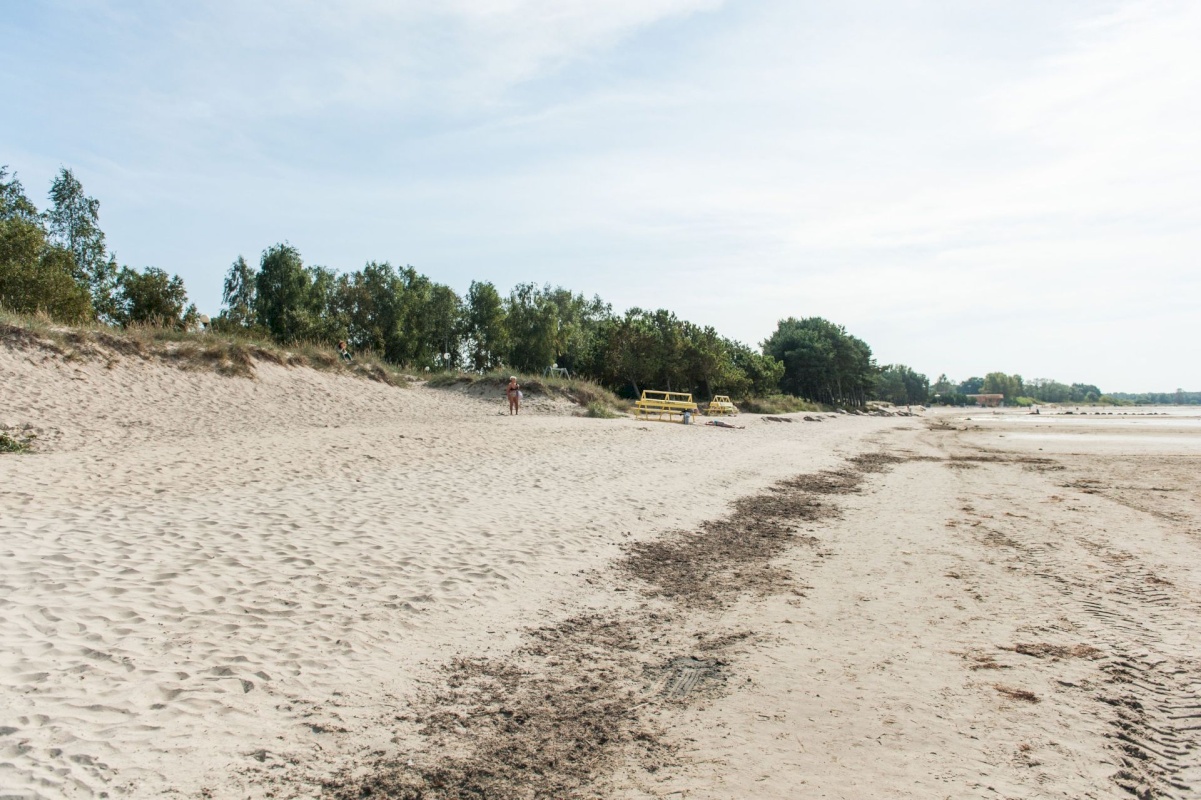 Tallinn, Põhja-Tallinna linnaosa, Pelguranna, Kari tn 26