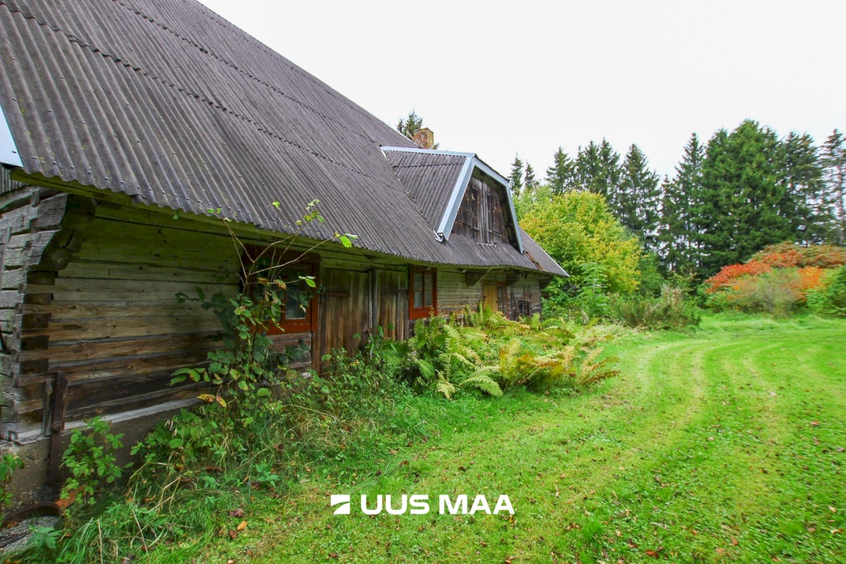 Tori vald, Jõesuu küla, Sepa