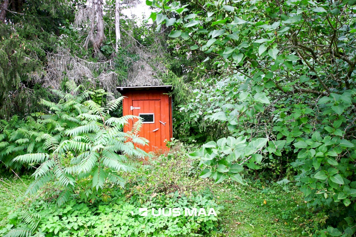 Tori vald, Jõesuu küla, Sepa