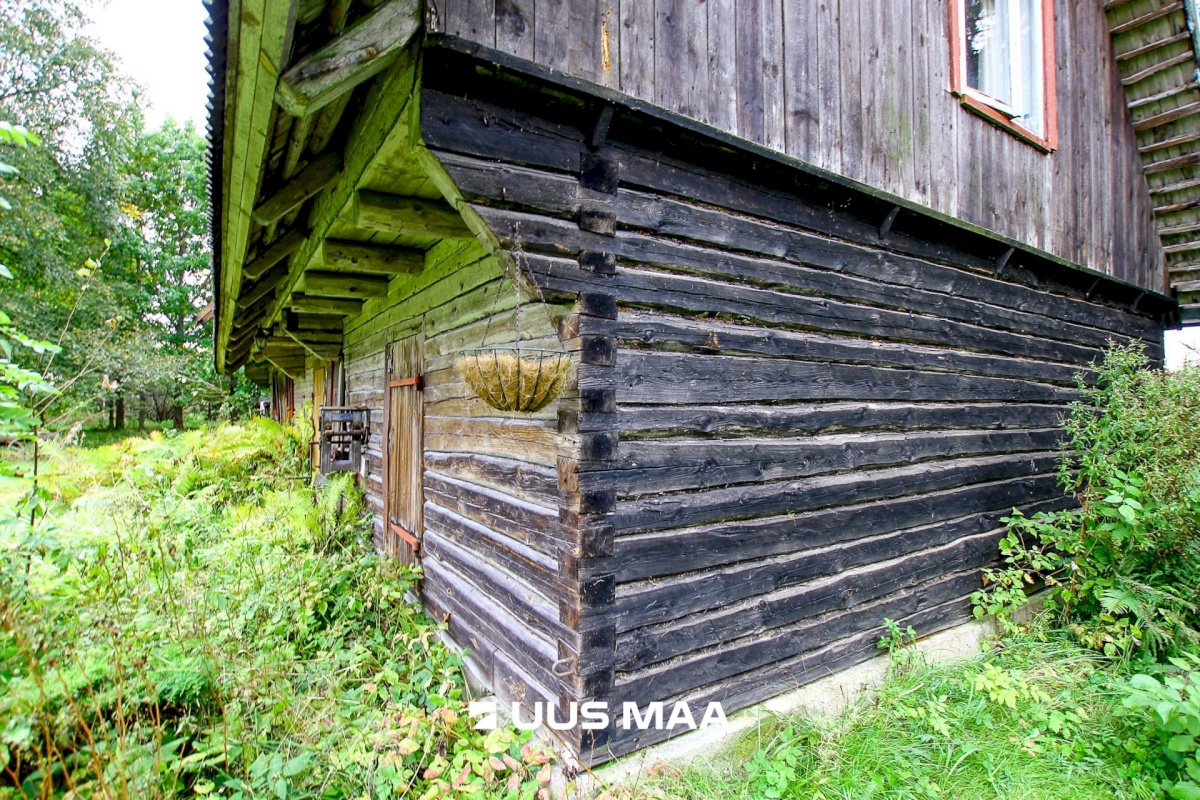 Tori vald, Jõesuu küla, Sepa