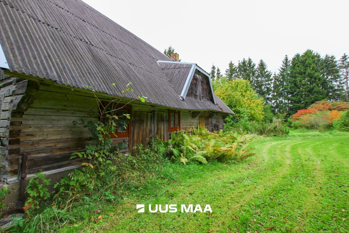 Tori vald, Jõesuu küla, Sepa