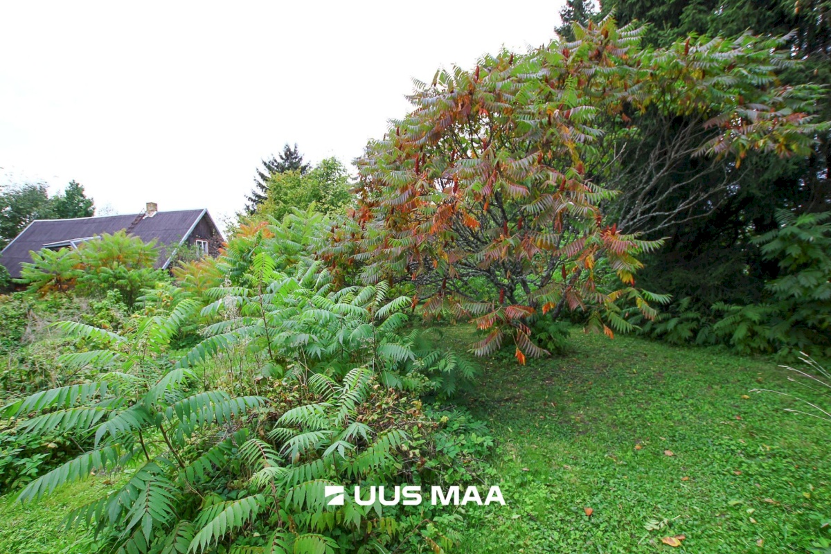 Tori vald, Jõesuu küla, Sepa