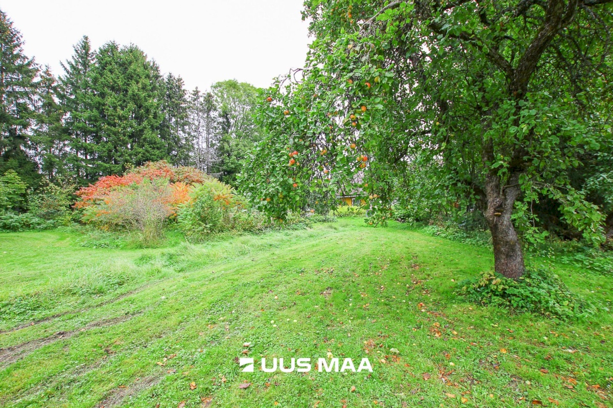 Tori vald, Jõesuu küla, Sepa