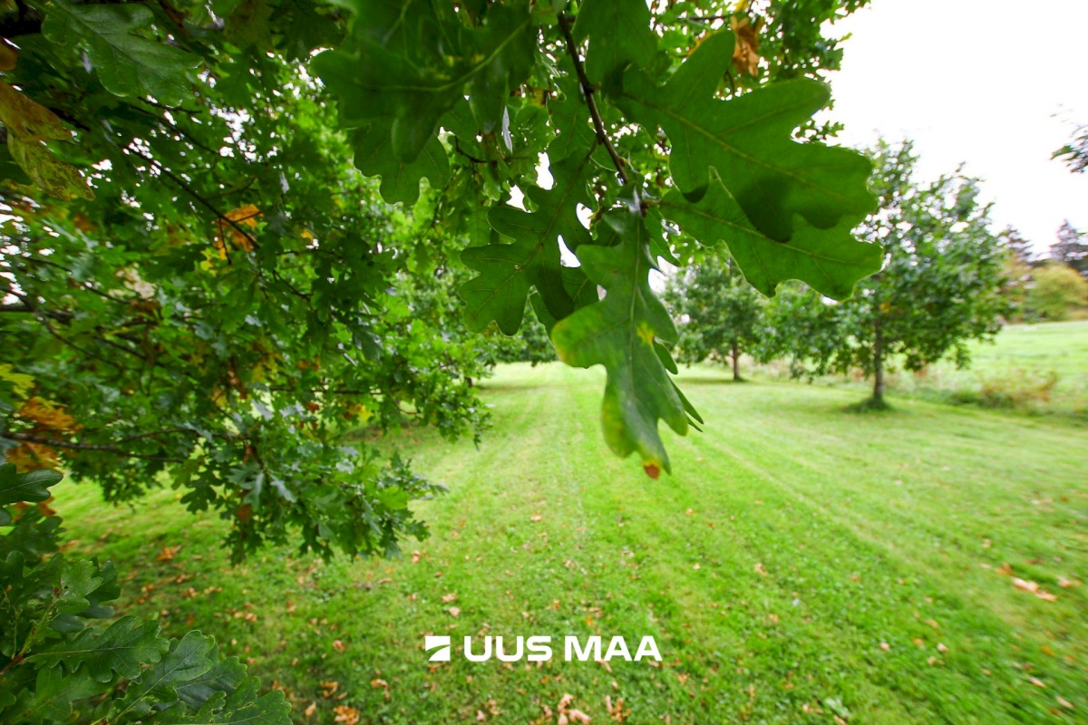 Tori vald, Jõesuu küla, Sepa