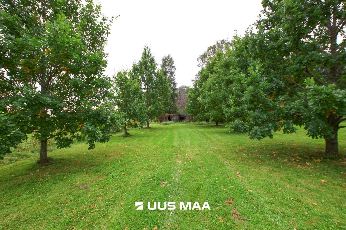 Tori vald, Jõesuu küla, Sepa