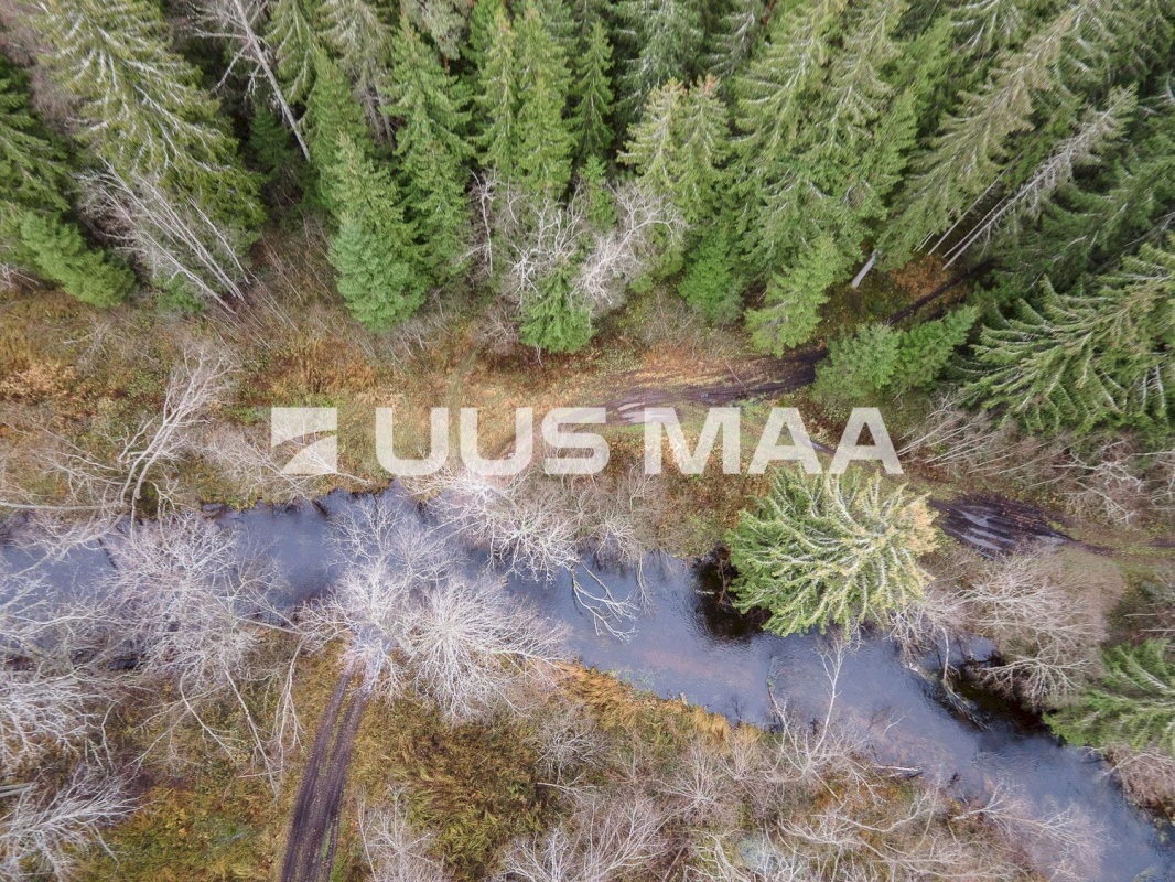 Kanepi vald, Jõgehara küla, Sooserva