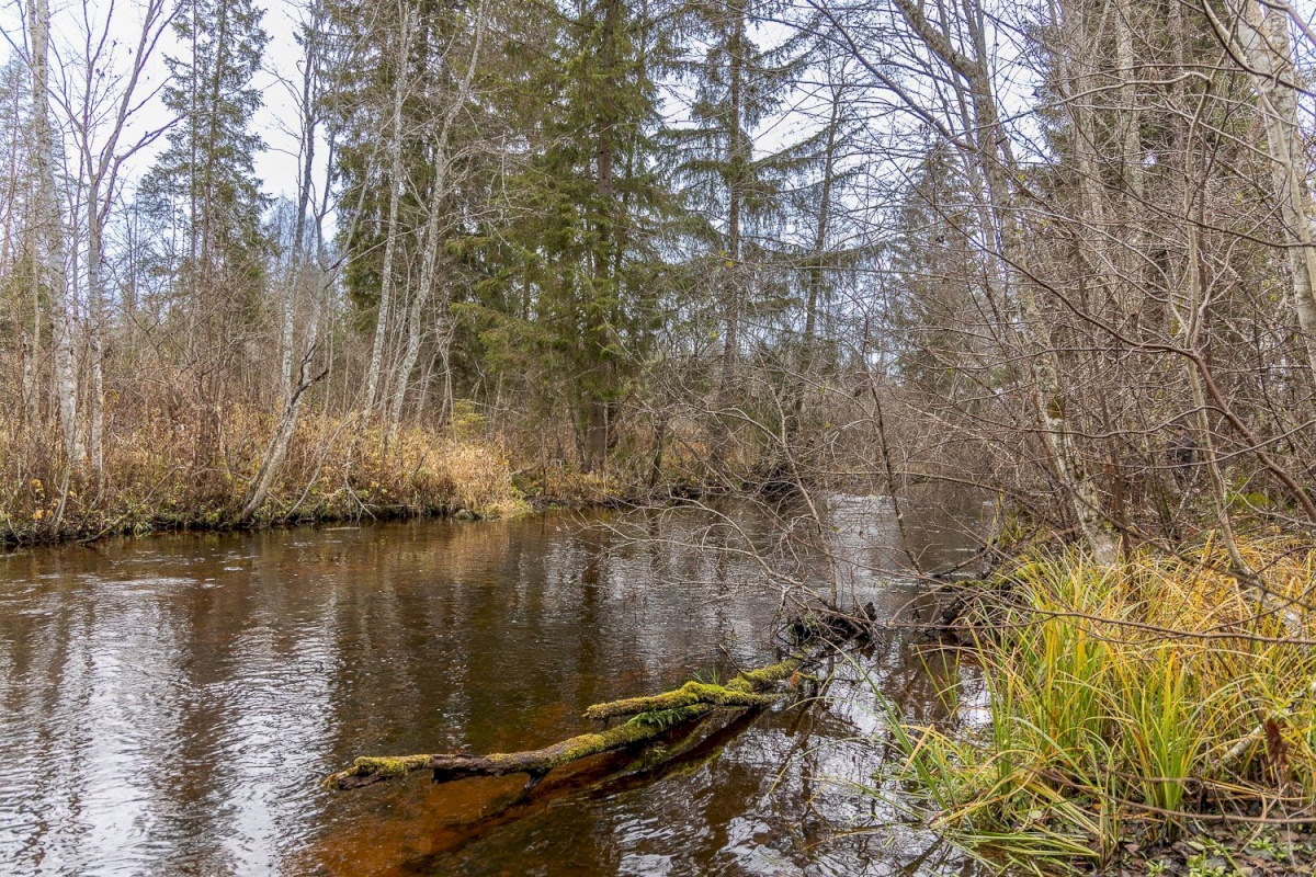 Kanepi vald, Jõgehara küla, Sooserva