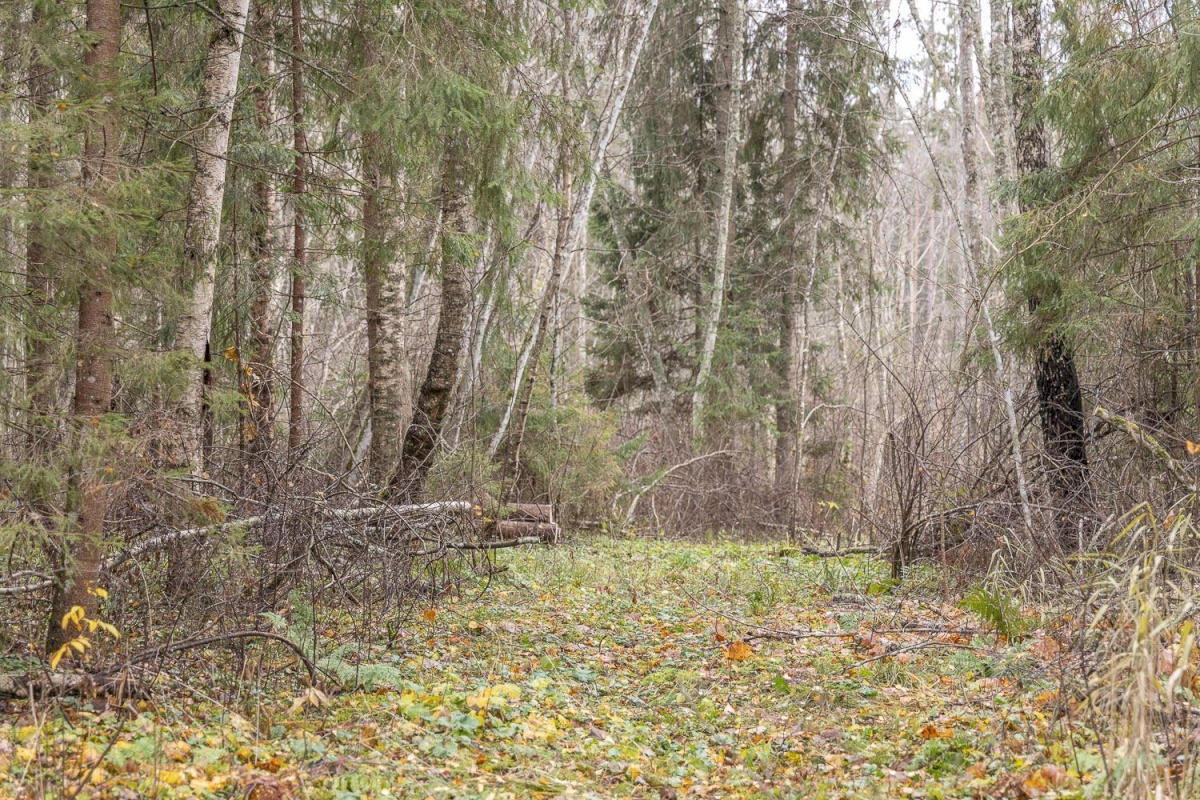 Kanepi vald, Jõgehara küla, Sooserva