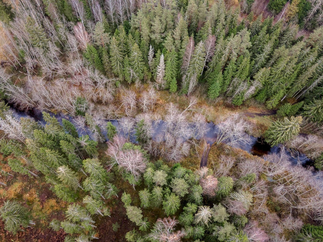 Kanepi vald, Jõgehara küla, Sooserva