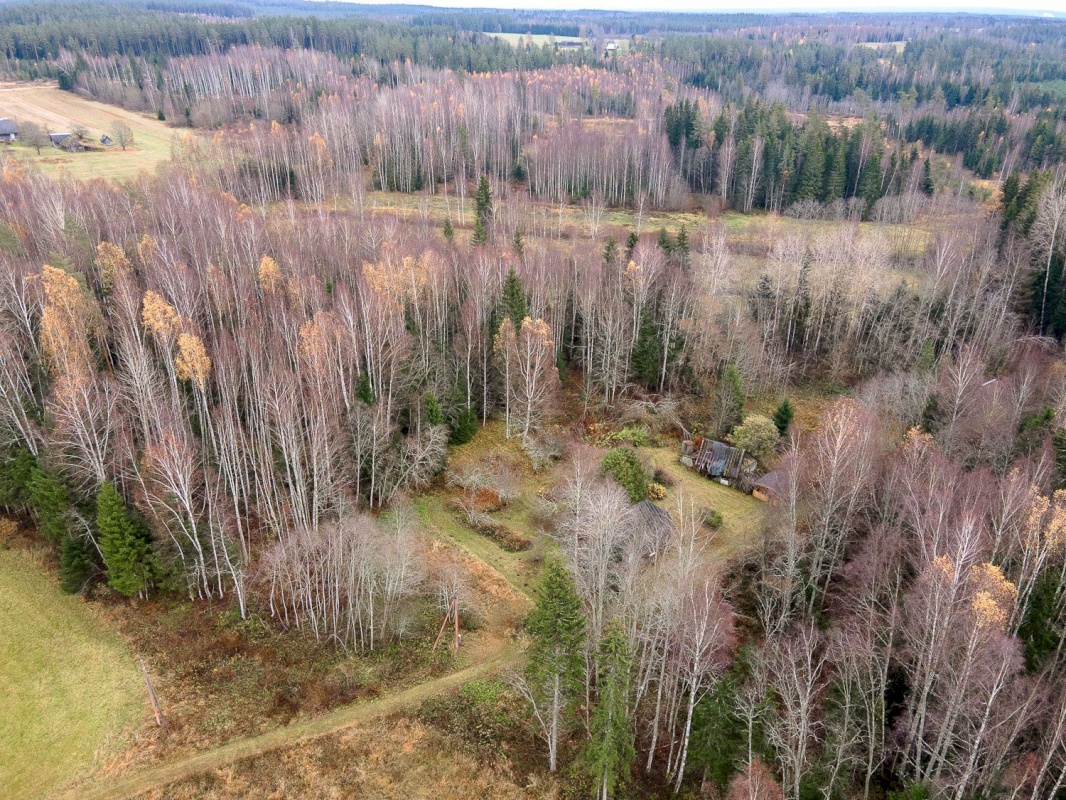 Kanepi vald, Jõgehara küla, Sooserva