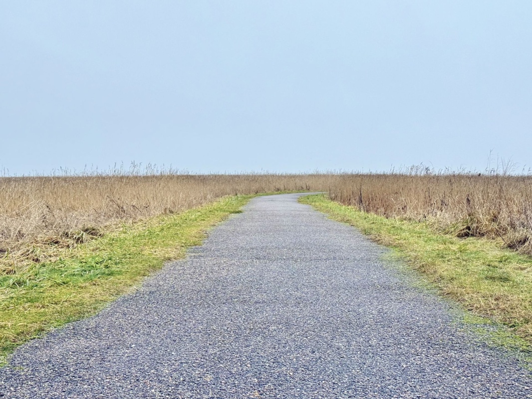 Pärnu linn, Pärnu linn, Mai, Mai 67