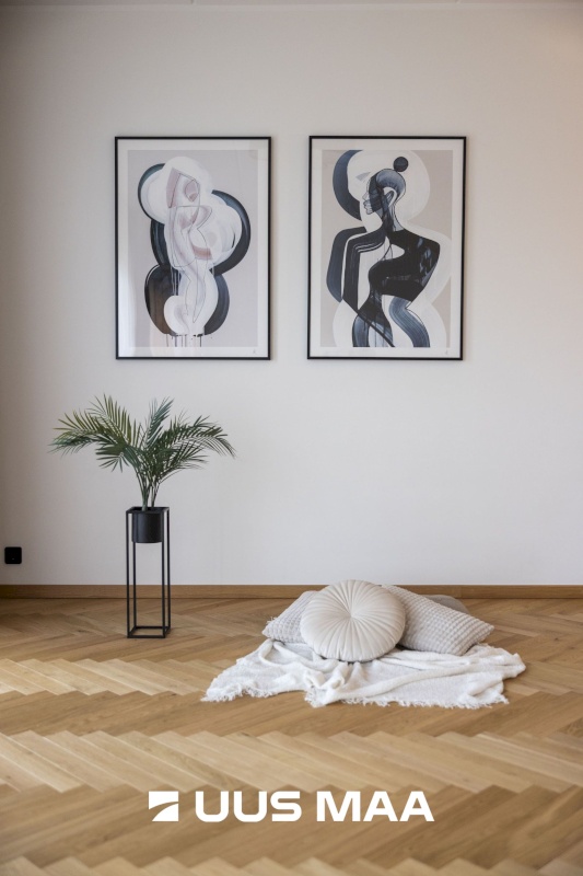 Tallinn, Kesklinna linnaosa, Uus Maailm, Toom-Kuninga 15