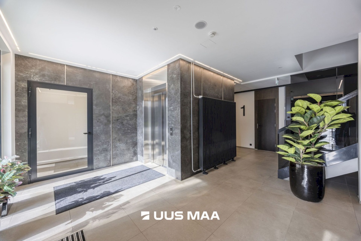 Tallinn, Kesklinna linnaosa, Uus Maailm, Toom-Kuninga 15