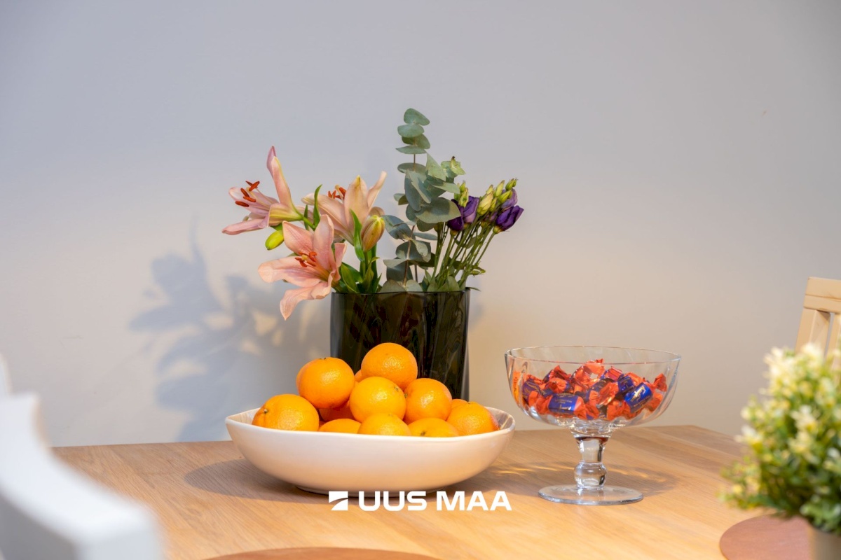 Viimsi vald, Randvere küla, Tülli tee 17