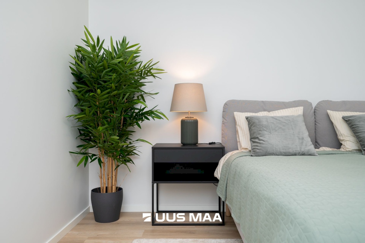 Raasiku vald, Raasiku alevik, Tehase põik 18