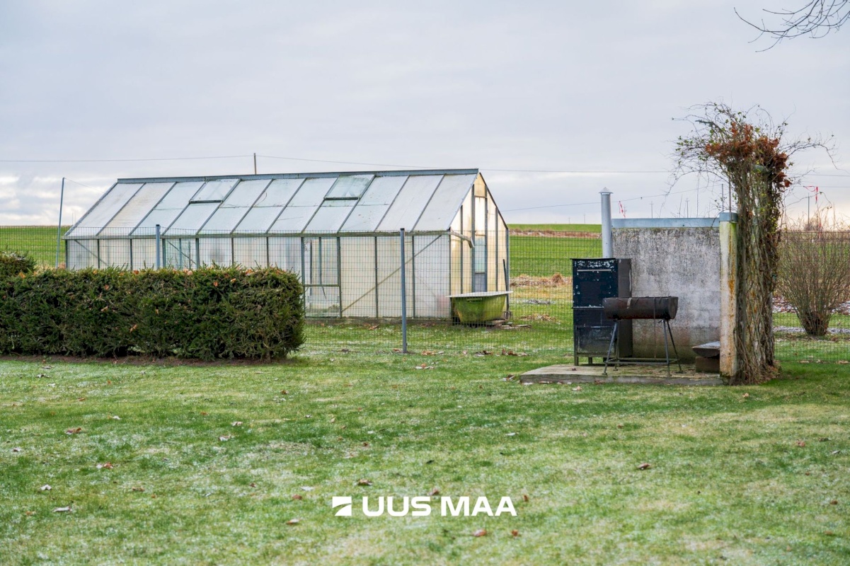 Jõgeva vald, Visusti küla