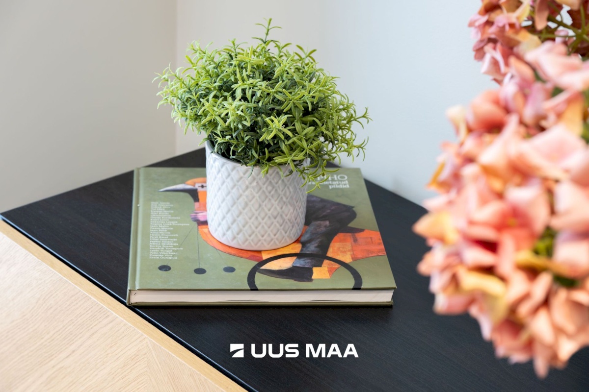 Rakvere linn, Terase 13-2