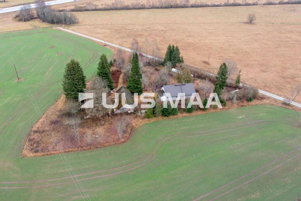 Paide linn, Mustla küla, Allika